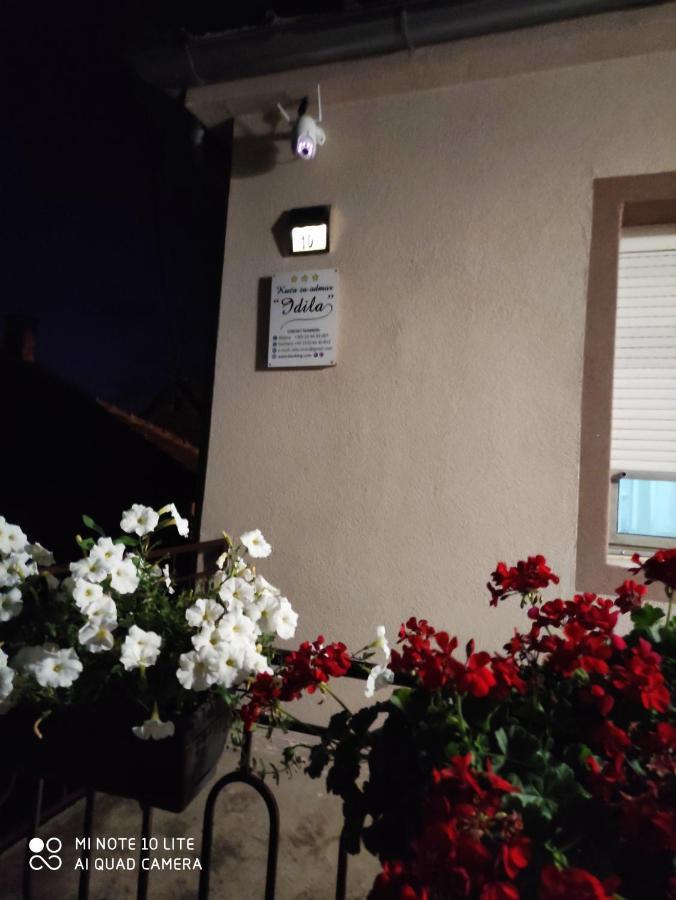 Kuca Vila Idila Vrsac Exterior foto
